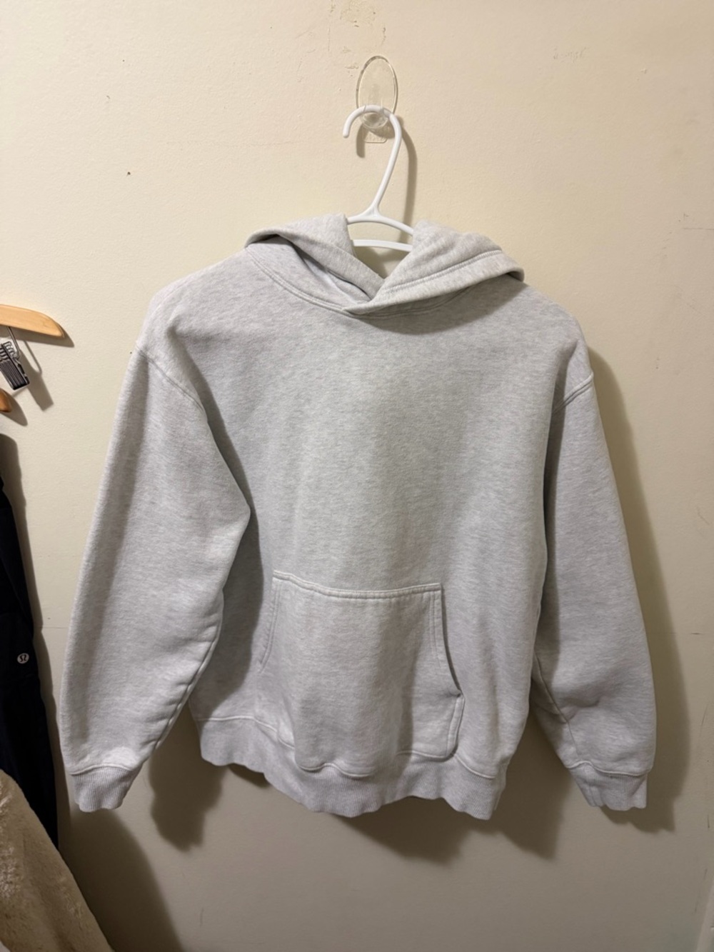 Aritzia Tna Cozy Fleece Perfect Hoodie